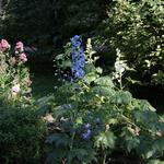 IMG_7857