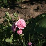 IMG_7858