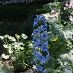 IMG_7859