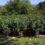 IMG_7863