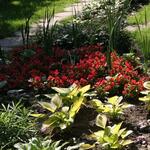 IMG_7864