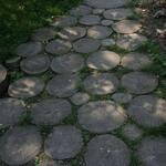 IMG_7865