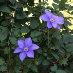 IMG_7871