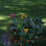 IMG_7884