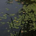 IMG_7888