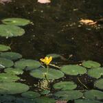 IMG_7902
