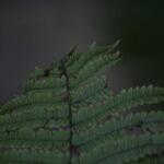 IMG_7911