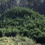 IMG_7946