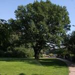 IMG_7948