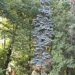 IMG_7963