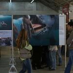 IMG_8035