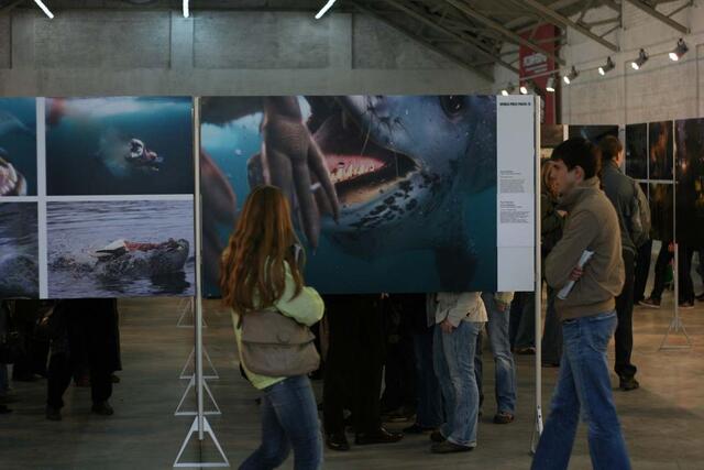IMG_8035