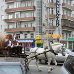 IMG_8013