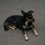 IMG_8080