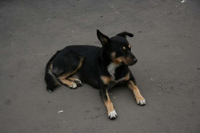 IMG_8080