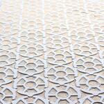 IMG_8277