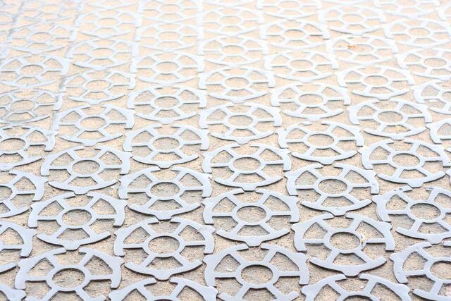 IMG_8277
