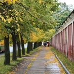 IMG_8280