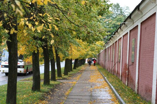 IMG_8280