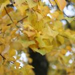 IMG_8282