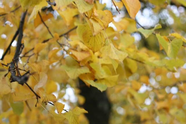 IMG_8282