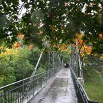 IMG_8295