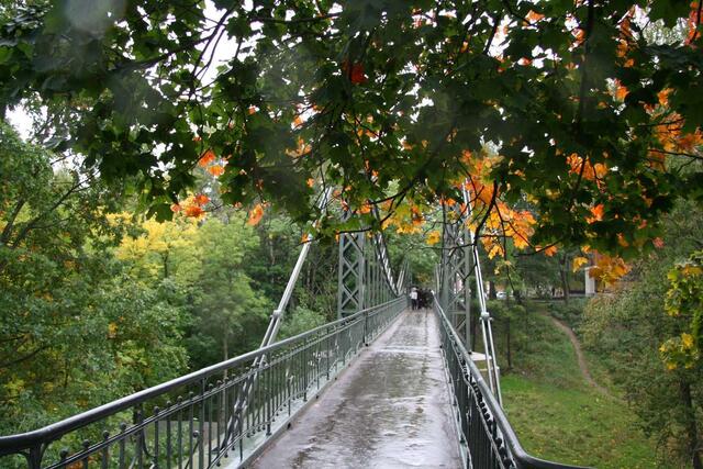 IMG_8295