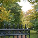IMG_8303