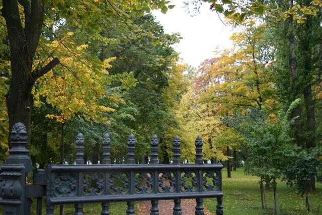 IMG_8303