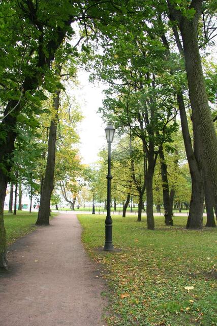 IMG_8306