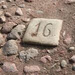 IMG_8460
