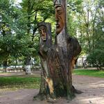 IMG_8473