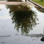 IMG_8506