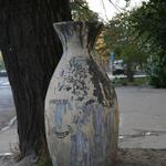 IMG_8520